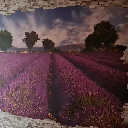 Kapellenstrasse - Mit Individueller Ausstattung - Jedes Ist Anders Komplette Kueche 公寓 埃尔福特